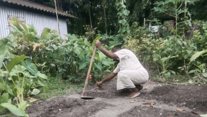 Aman livelihood initiative