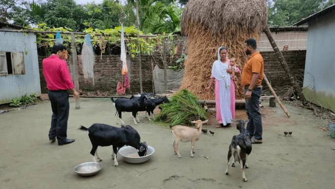 Aman Livelihood Program